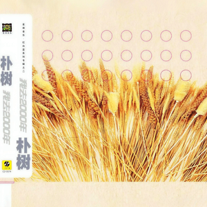 菲律宾黄色录像
