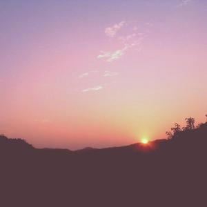 菲律宾黄色录像
